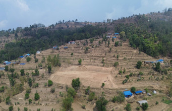 काफ्ले गाउँमा बन्दैछ क्रिकेट मैदान